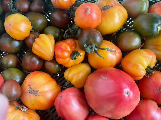 Tomaten-Abo